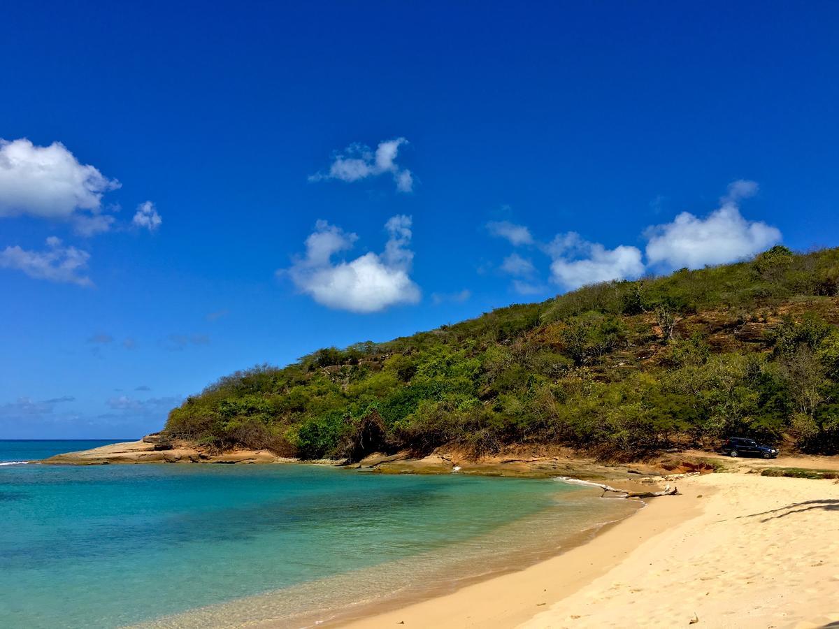 Aloe Villa Five Islands Village 外观 照片